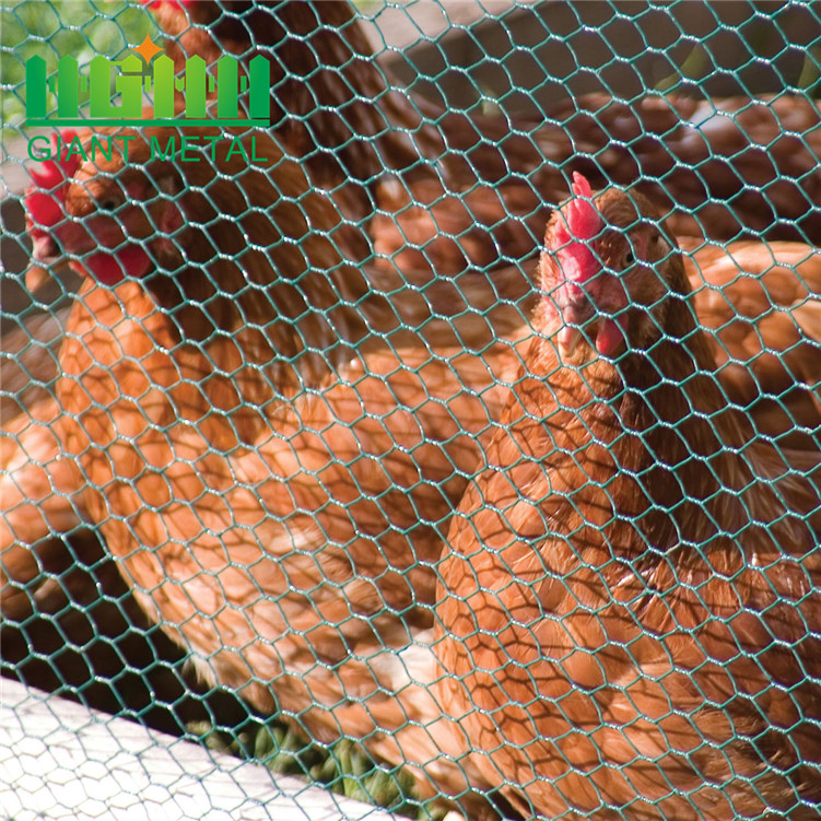 lowest price chicken wire mesh1_副本1.jpg